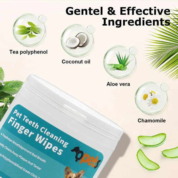 Pet Dental Wipes – 50 Wipes Pack