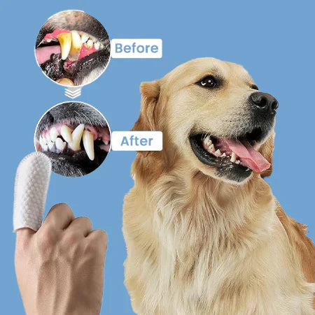 Pet Dental Wipes – 50 Wipes Pack